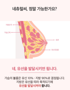 네츄럴씨-효과